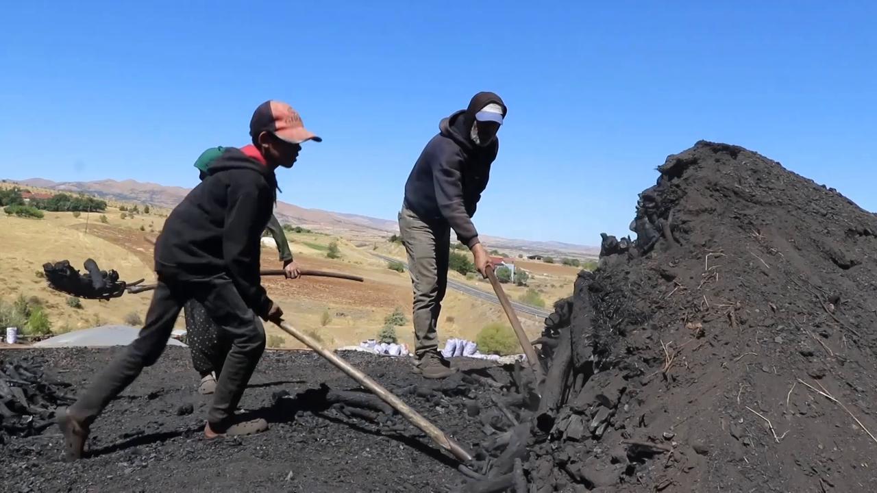 Video thumbnail for Türkiye: Families turn oak wood into charcoal to earn living in eastern Türkiye.