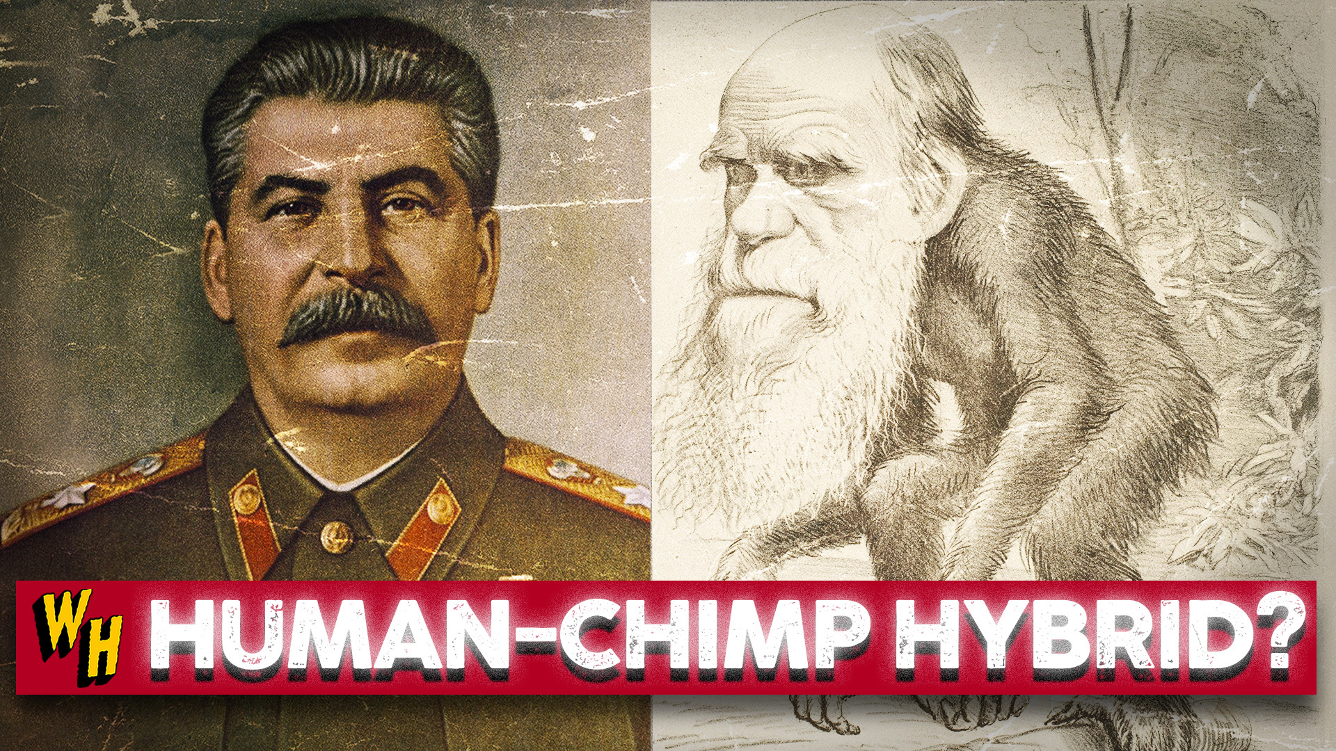 Video thumbnail for When The Soviets Tried To Create Human-Chimp Hybrids...