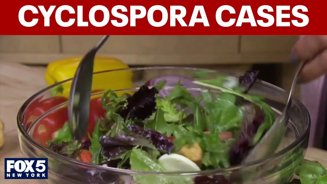 Video thumbnail for Cases of 'diarrhea parasite' rise across the US