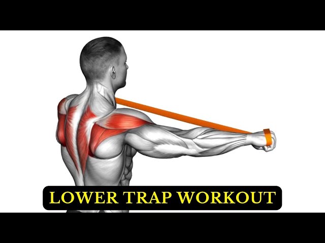Video thumbnail for 11 Best Lower Trap Exercises