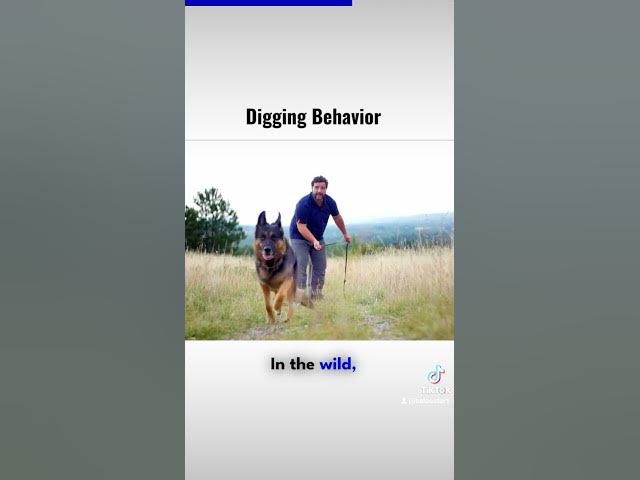 Video thumbnail for Gsd 101 2023 10 26 071647479