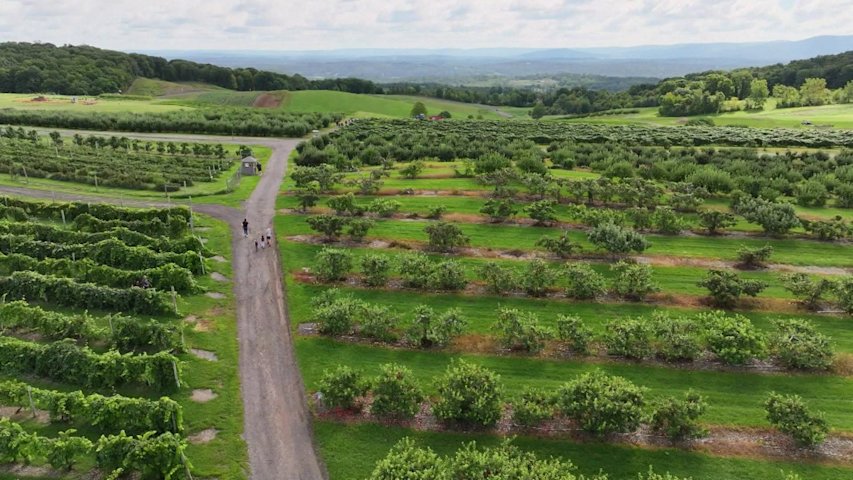 Video thumbnail for Road Trip: Lawrence Farms Orchards in Newburgh has something delicious waiting to be picked