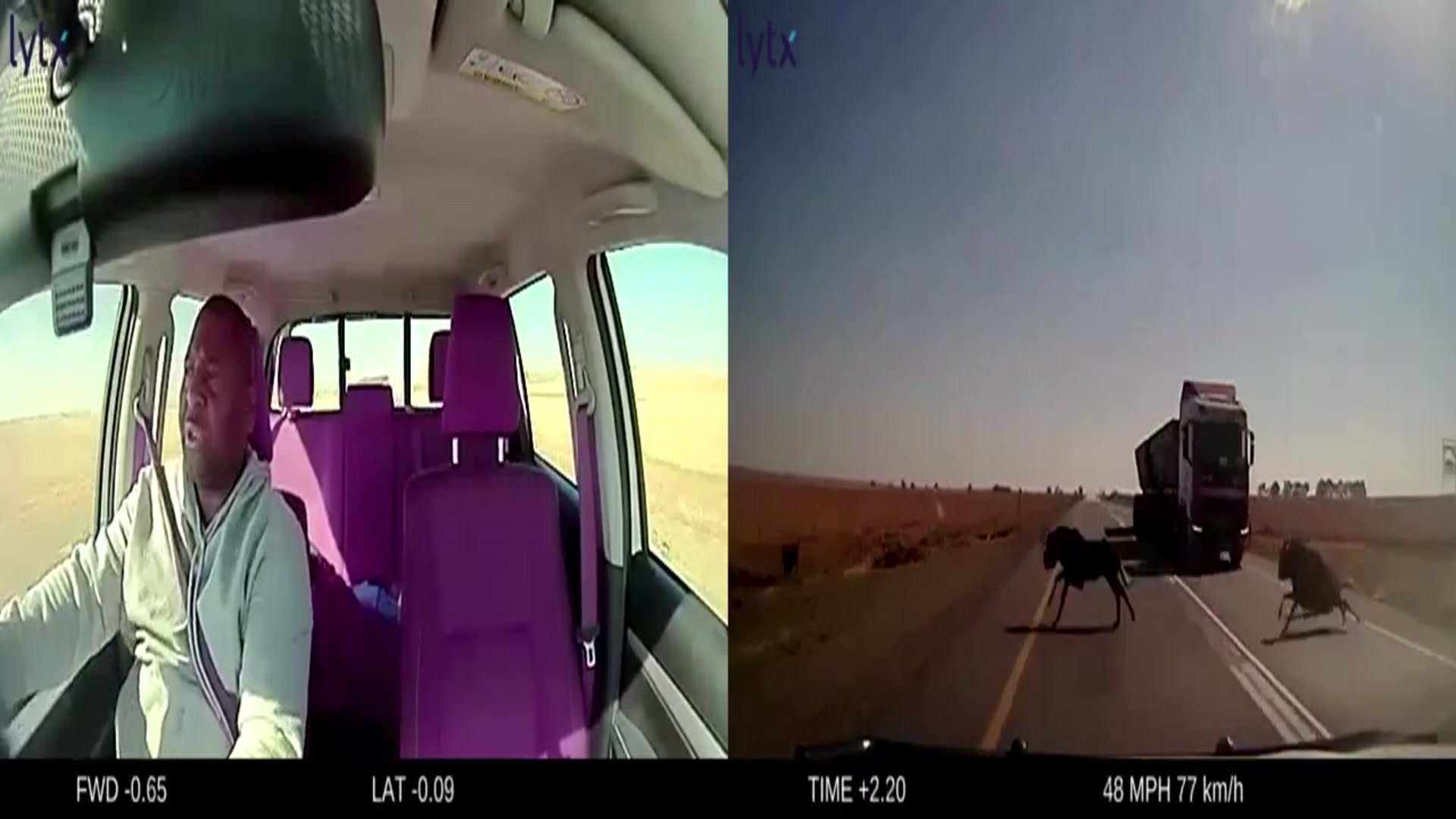 Video thumbnail for Distracted Driver Collides with Wildebeests in South African Road Incident Captured on Dashcam