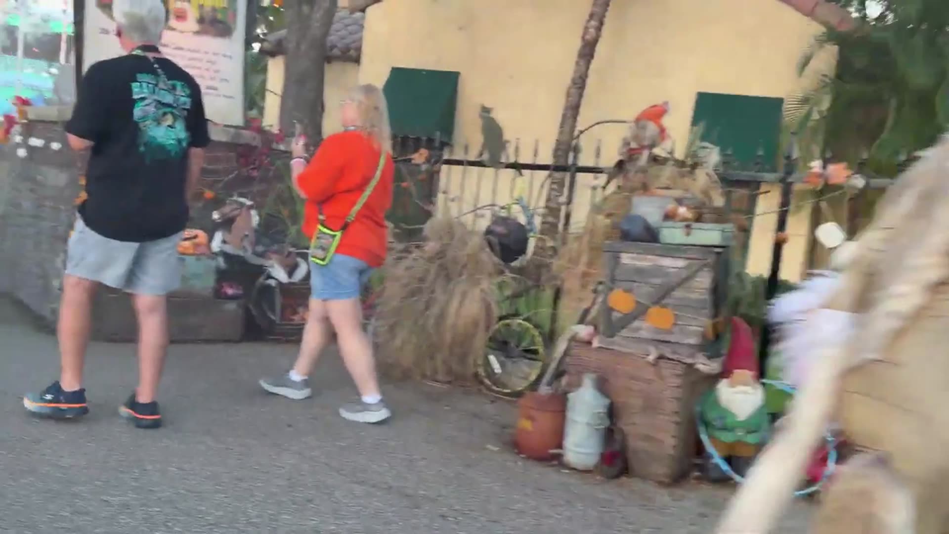 'Video thumbnail for Cat Lady of Crooked Lane Scare Zone walkthrough - Horror Nights Orlando'