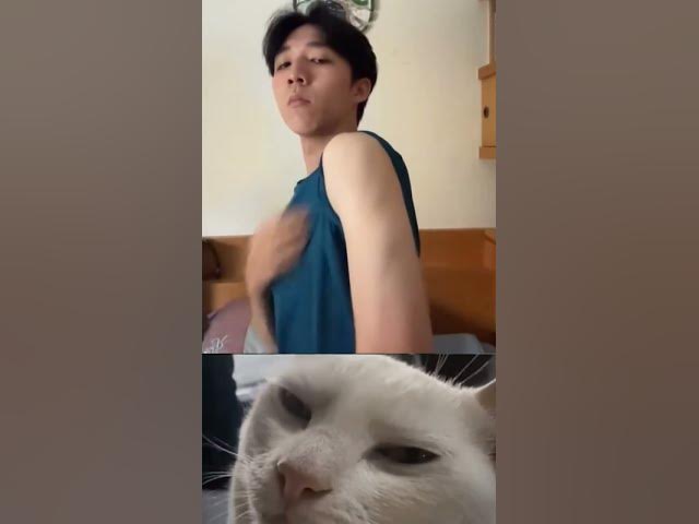 Video thumbnail for My Friend Unique Telent 🤣 #funny #memes #cat