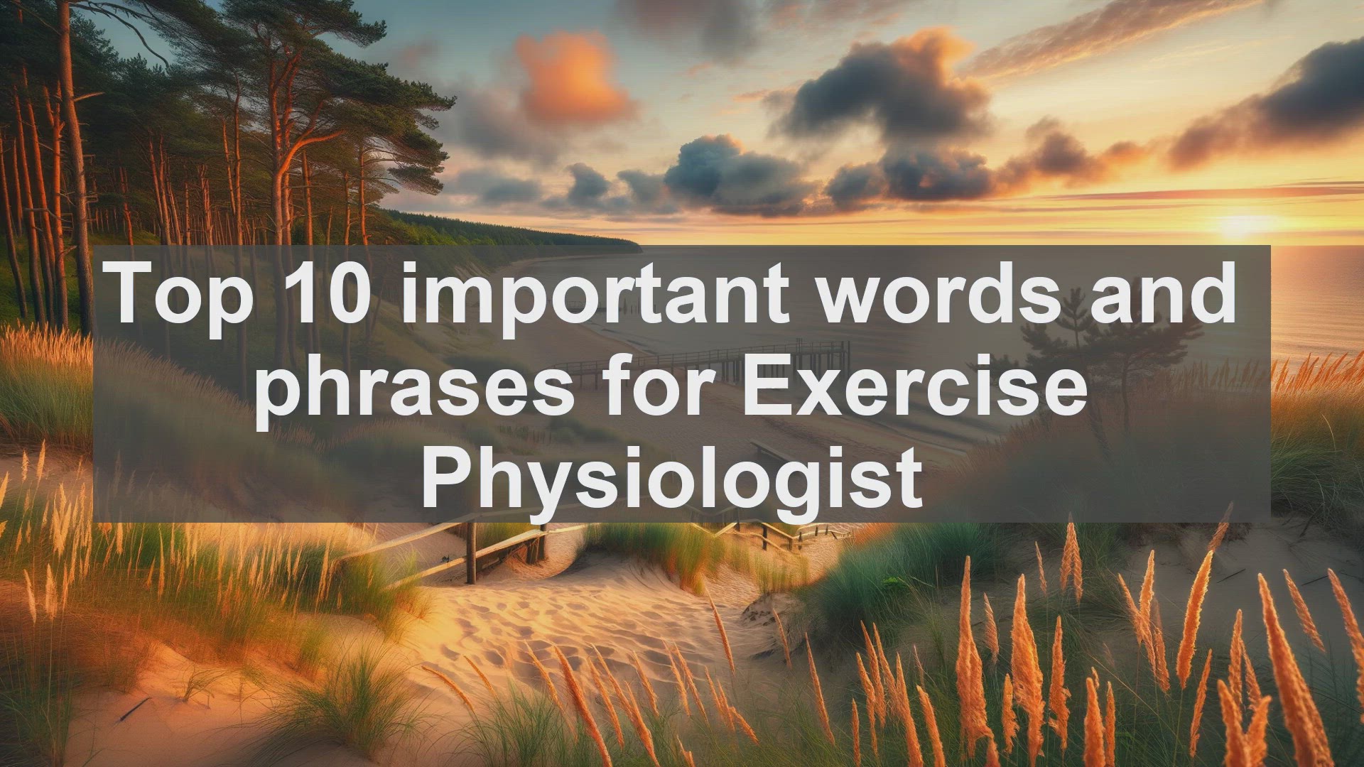 'Video thumbnail for Top 10 important words and phrases for Exercise Physiologist'