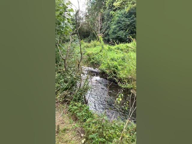 Video thumbnail for Water sounds