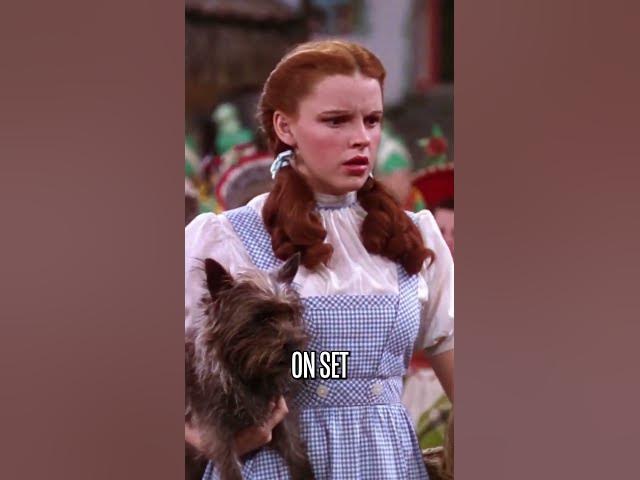 Video thumbnail for Somewhere Over The Rainbow... Was A Nightmare!