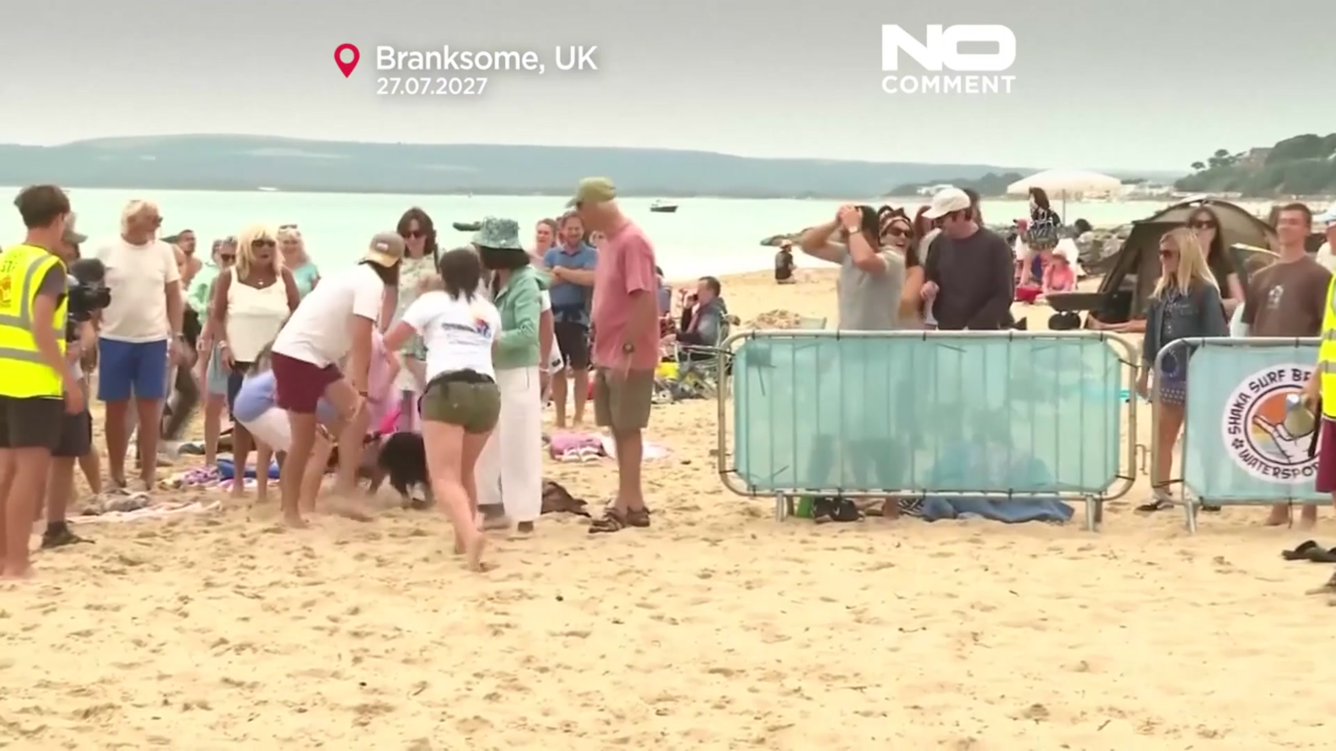 'Video thumbnail for Margo the whippet wins UK Dog Surf Championships'