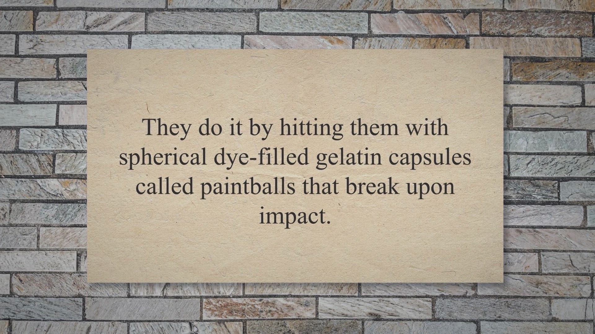 Video thumbnail for Is Paintball Legal in Australia? Direct Answer