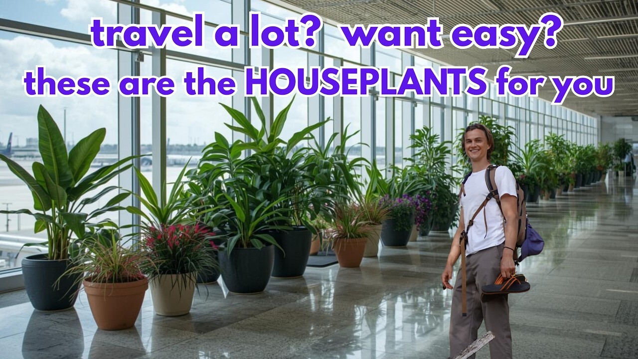 Video thumbnail for 10 Ultra Easy HOUSEPLANTS for Frequent Travelers - Low Water Needs, Low Maintenance