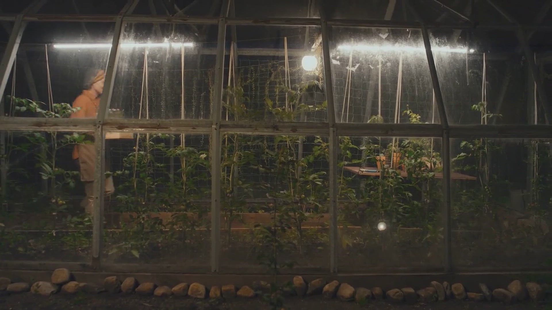 'Video thumbnail for The Magic of Moon Flowers: A Beginner's Guide'