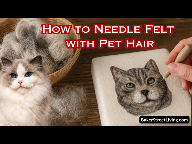 Video thumbnail for Needle Felting with Pet Hair for Beginners / Easy Needle Felting for Creating Keepsakes.
