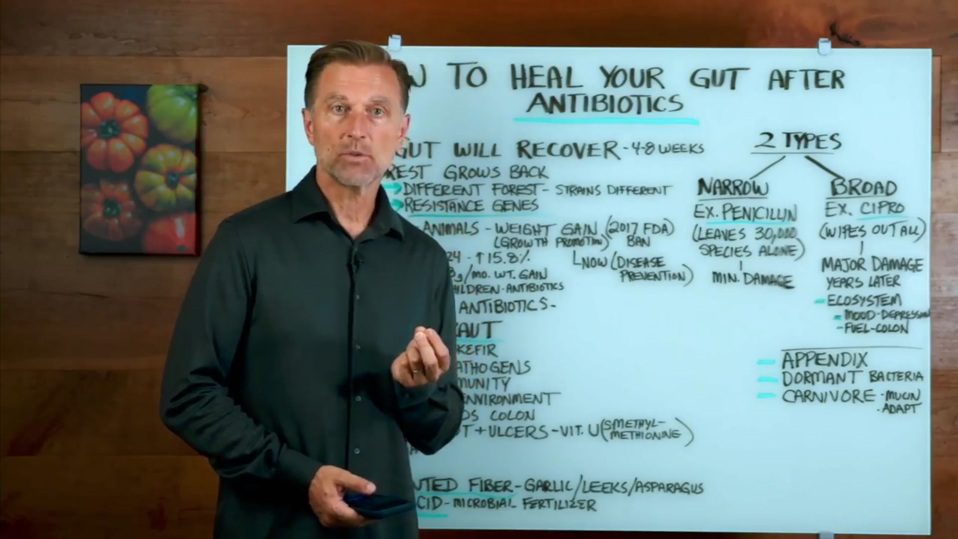 Video thumbnail for Ever Taken Antibiotics Your Gut Never Fully Recovered (Here s the Fix)(720P HD)