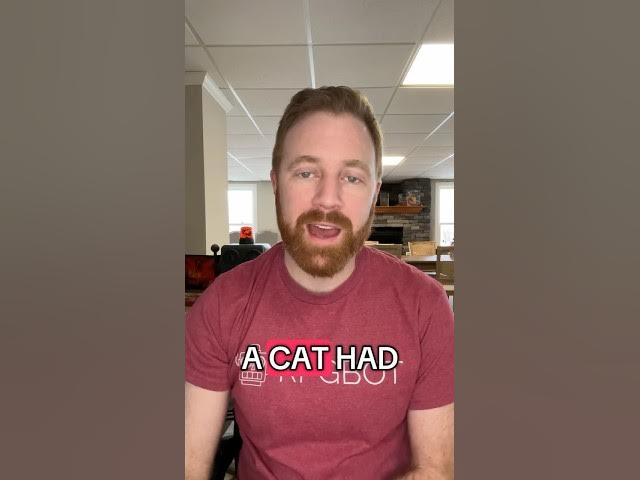 Video thumbnail for In 3.5 a house cat was a passable combat pet