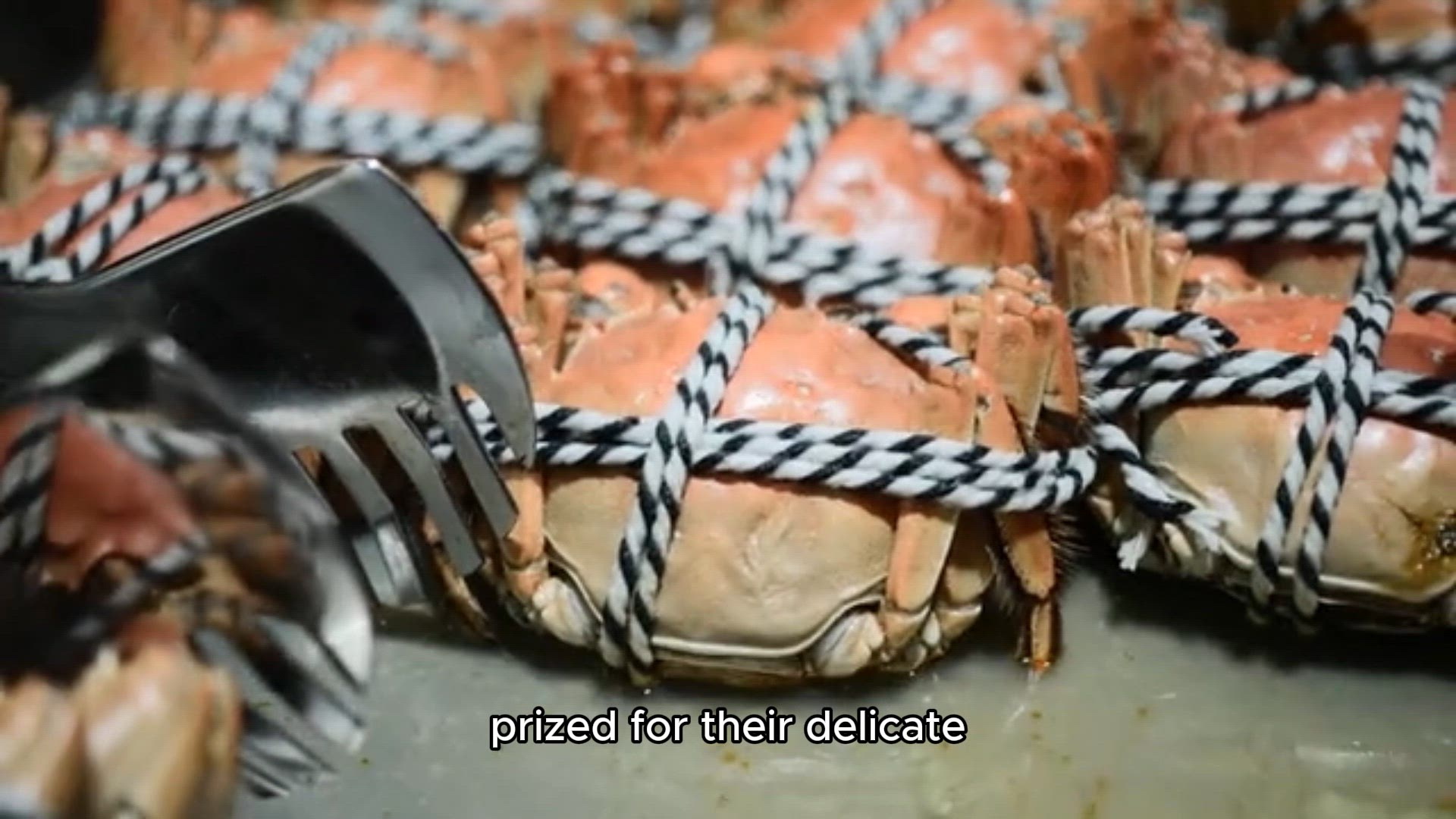 Video thumbnail for Crab Cakes Recipe