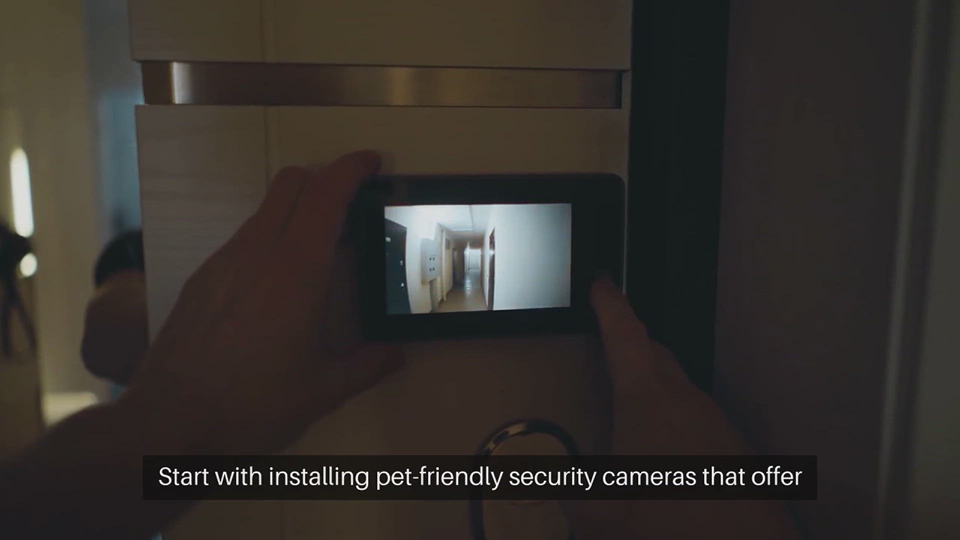 Video thumbnail for Pet Monitoring While Away Strategies