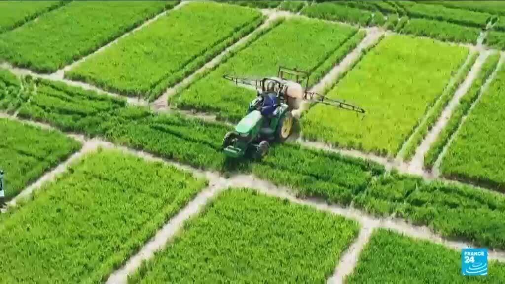 Video thumbnail for US farmers pay price of Strait of Hormuz closure