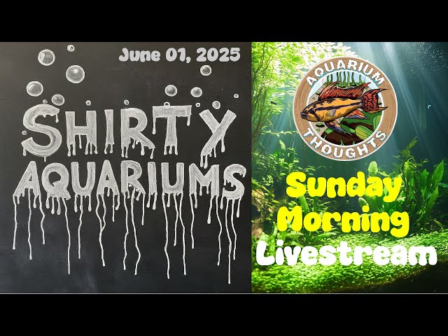 Video thumbnail for Crappy Aquariums & Bad Fish Conditions: Live Reaction! 🐟💔