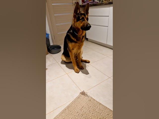 Video thumbnail for ❤️