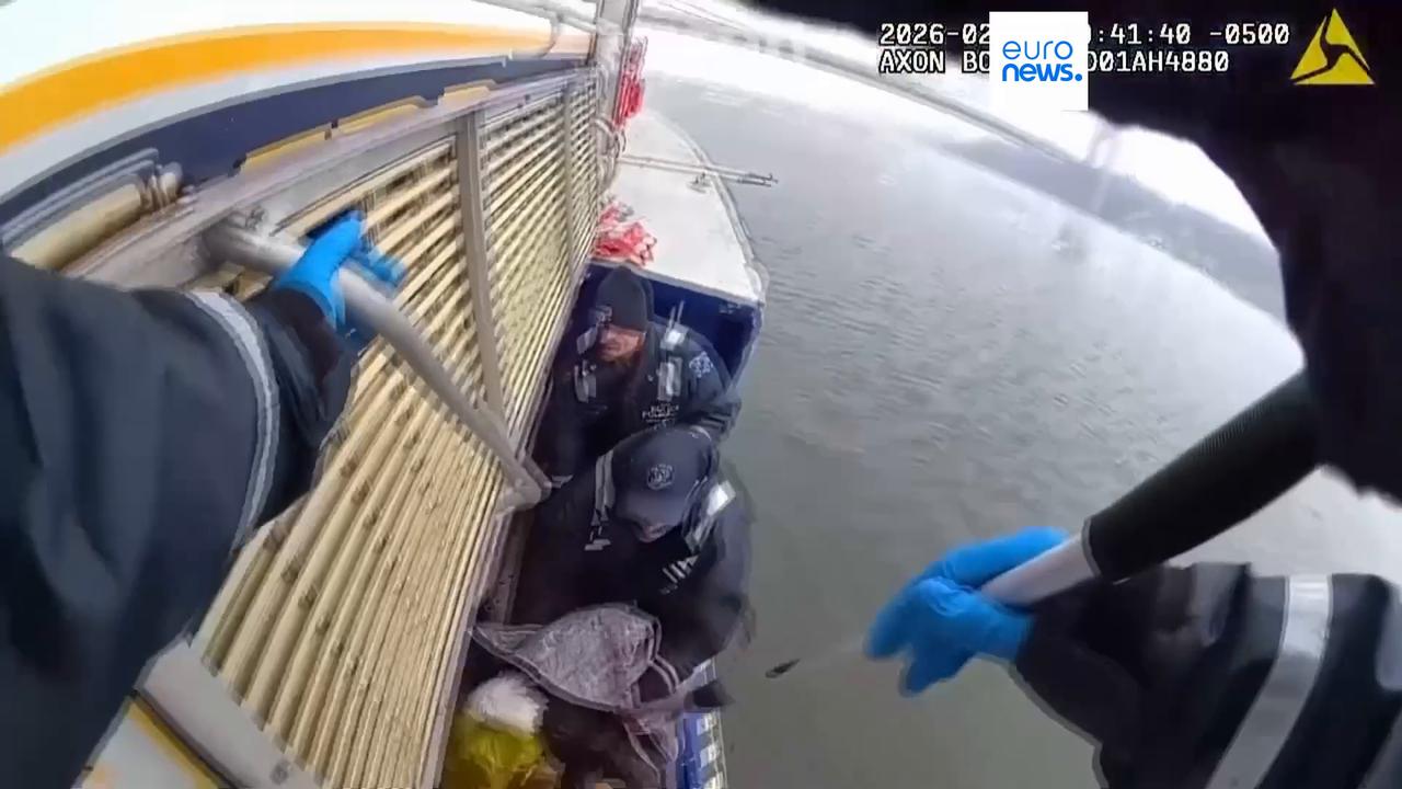 Video thumbnail for Police rescue injured bald eagle stranded on Hudson River ice