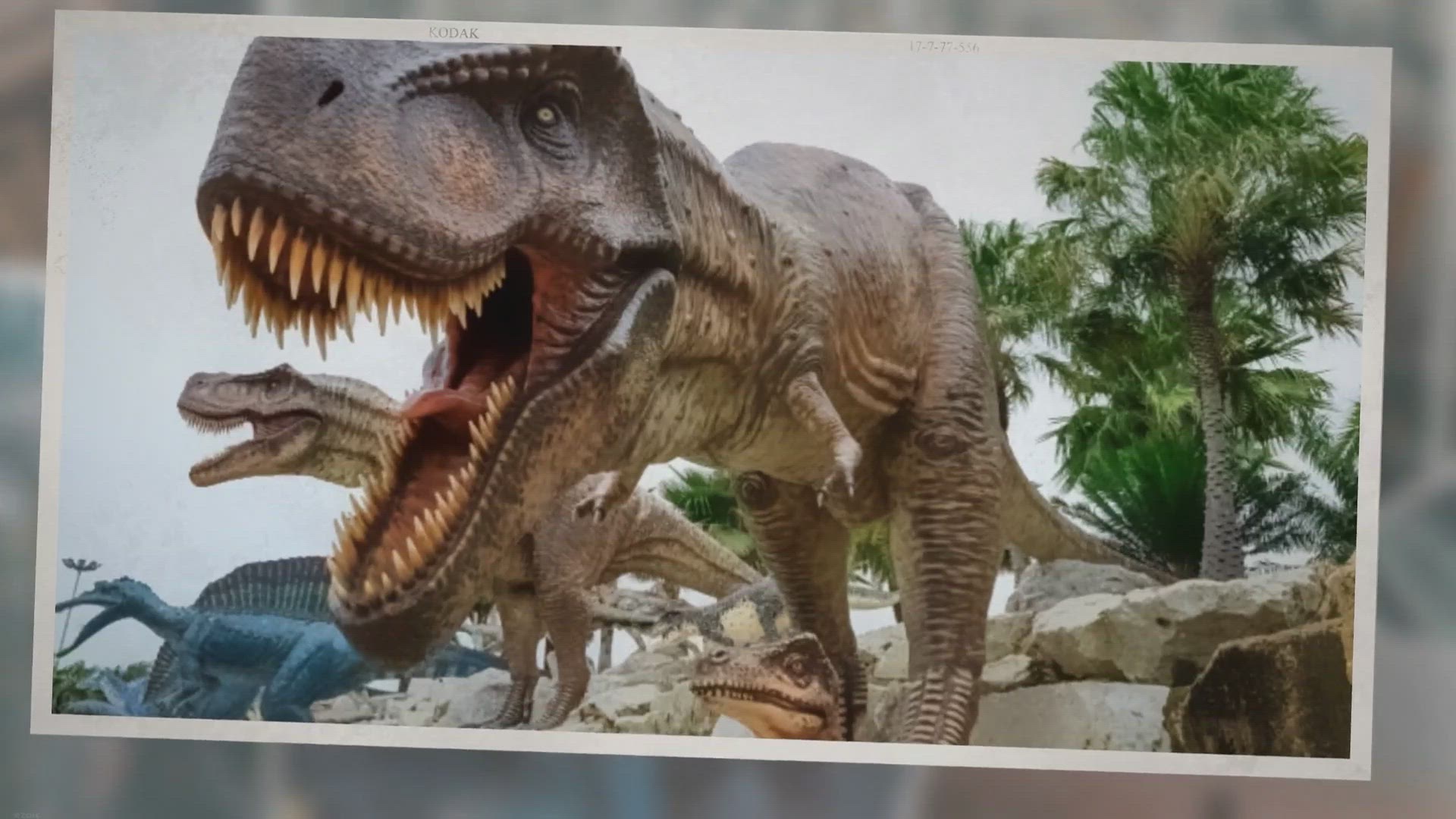 'Video thumbnail for 3 Interesting and Fun Dinosaur Facts You Didn’t Know'