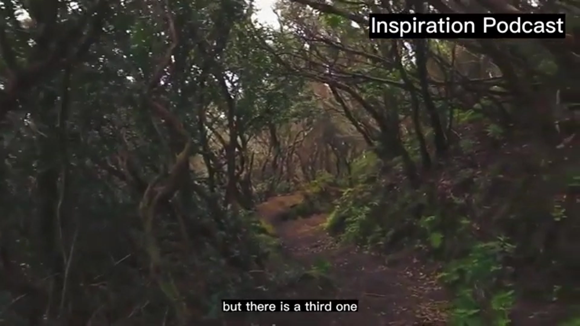 Video thumbnail for Why take a gap year_ _ 12 reasons and planning tips