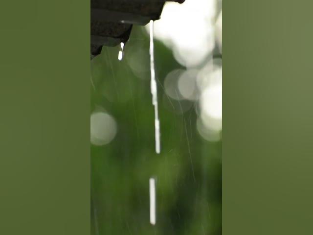 Video thumbnail for #rainoundforsleep #rain #relaxingsounds #relax #peace