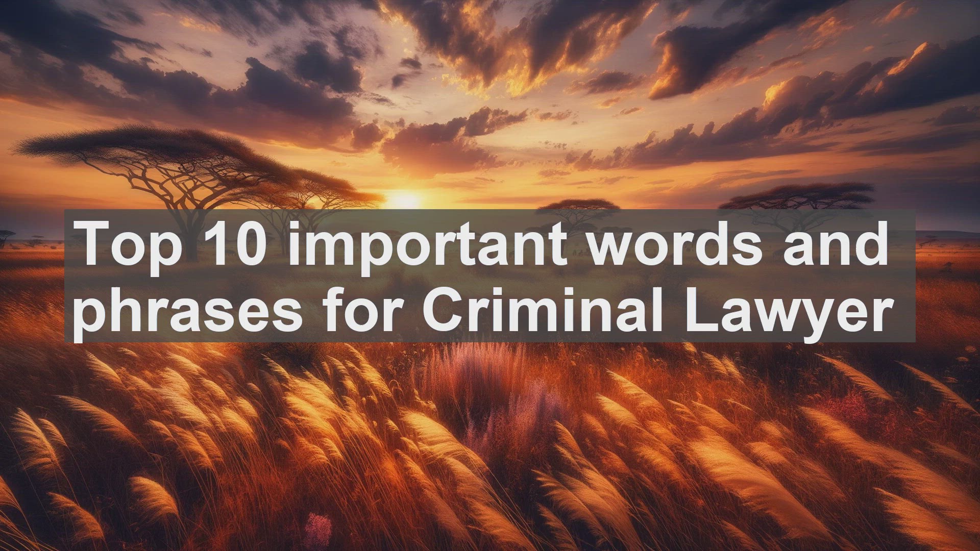 'Video thumbnail for Top 10 important words and phrases for Criminal Lawyer'