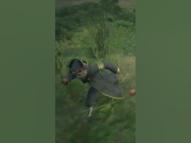 Video thumbnail for When you play Hogwarts Legacy for the Nth time