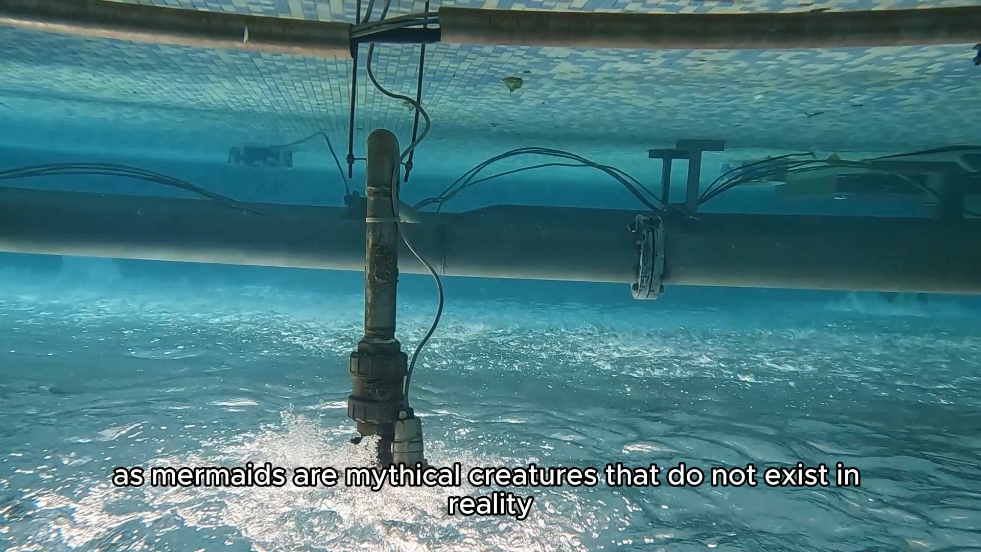 'Video thumbnail for Essential Tools and Equipment for Capturing a Mermaid'