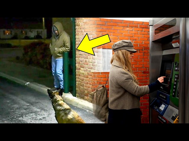 Video thumbnail for Man Blocks Woman at ATM - What Her Dog Does Next Will Leave You Speechless!