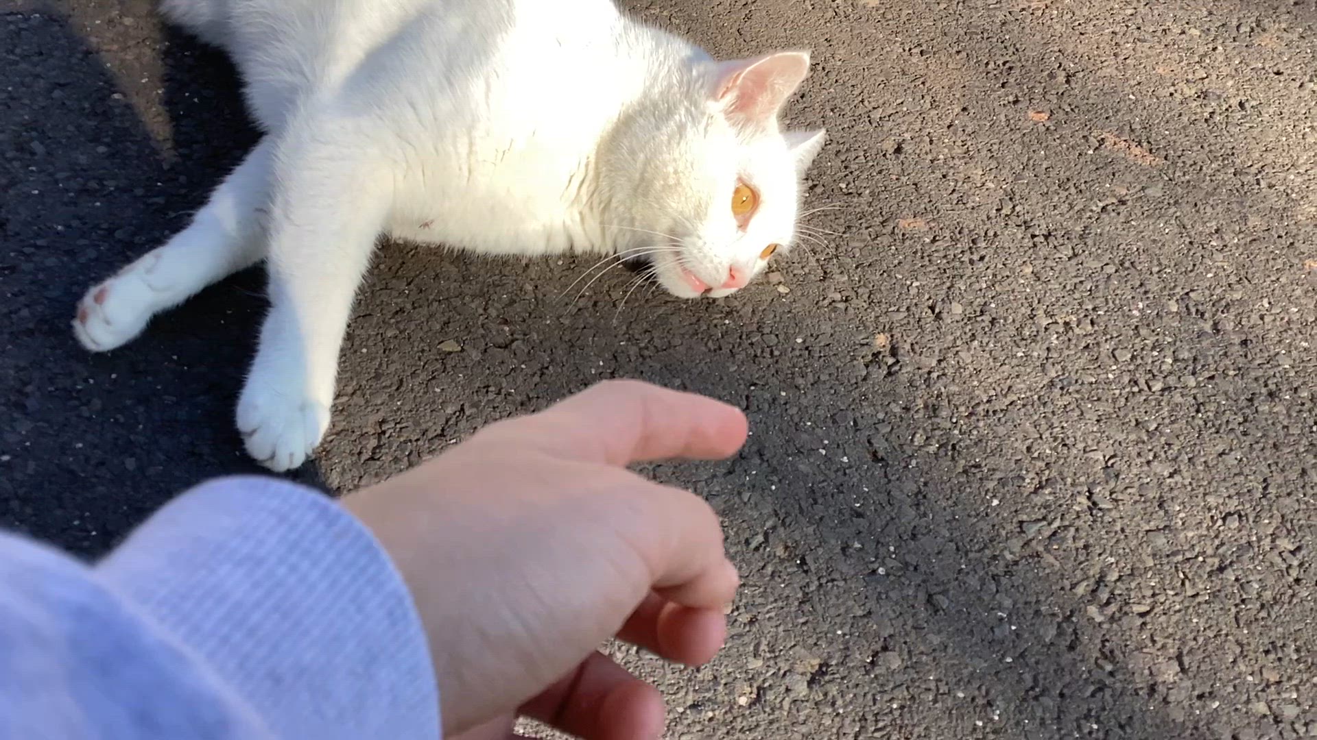 Video thumbnail for IMG_0721