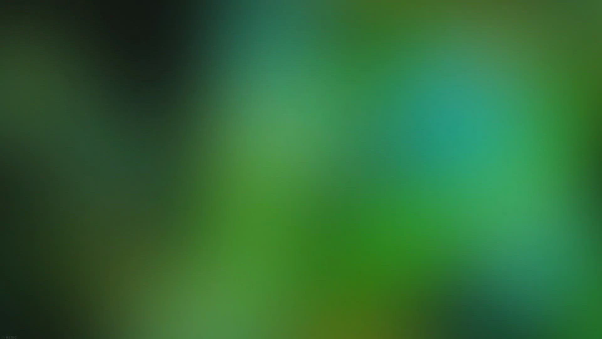 Video thumbnail for The First-Timers Travel Guide to Jamaica - My Canadian Passport