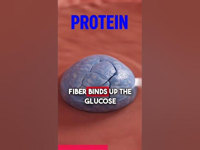 Video thumbnail for Barbara O'Neil: Atkins Diet for Satiety & Sustained Energy