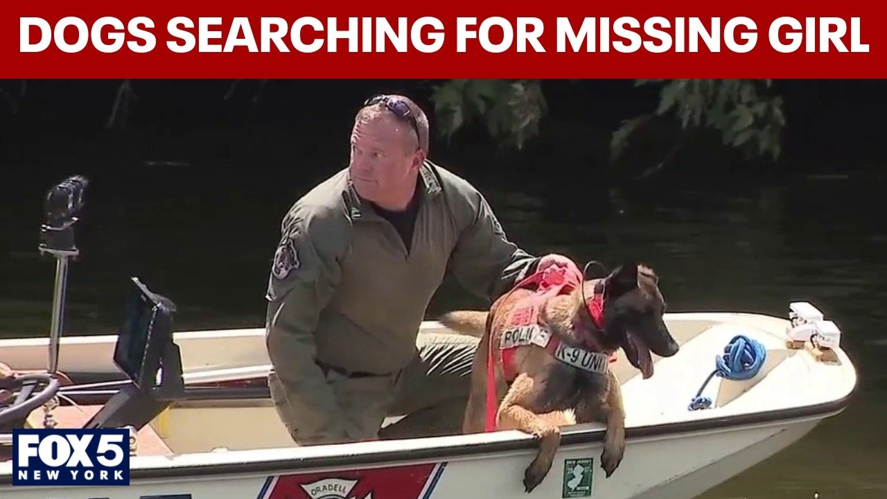 Video thumbnail for Dogs now searching for missing 10-year-old girl