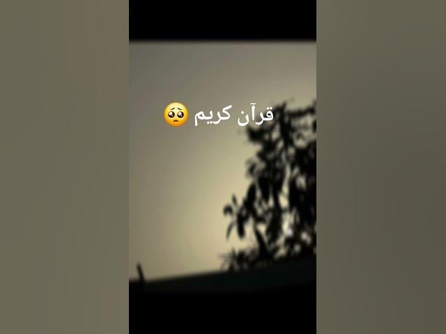 Video thumbnail for The holy Quran❤️🩹🫀