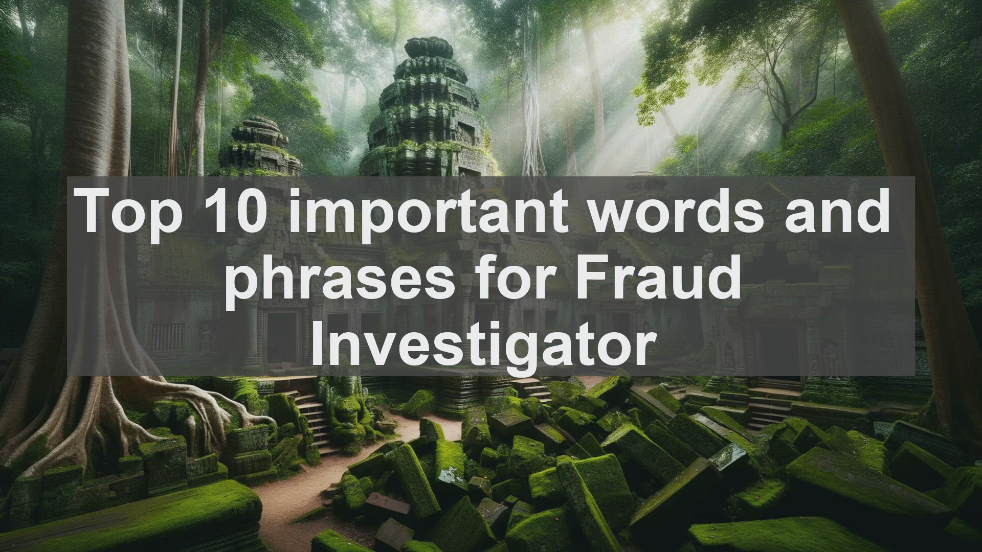 'Video thumbnail for Top 10 important words and phrases for Fraud Investigator'