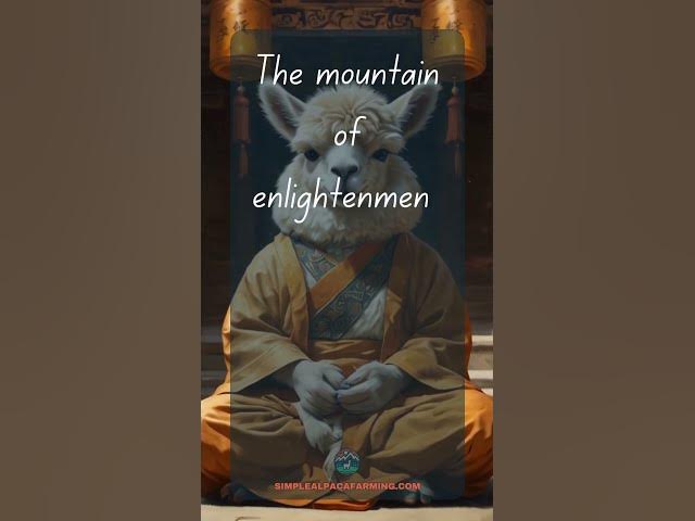 Video thumbnail for The Mountain #alpaca #alpacawisdom #meditation #llama #quotestoliveby  #inspirationalquote