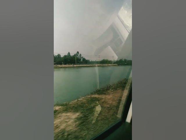 Video thumbnail for #pagal tujha me kar dunga #shorts #nature