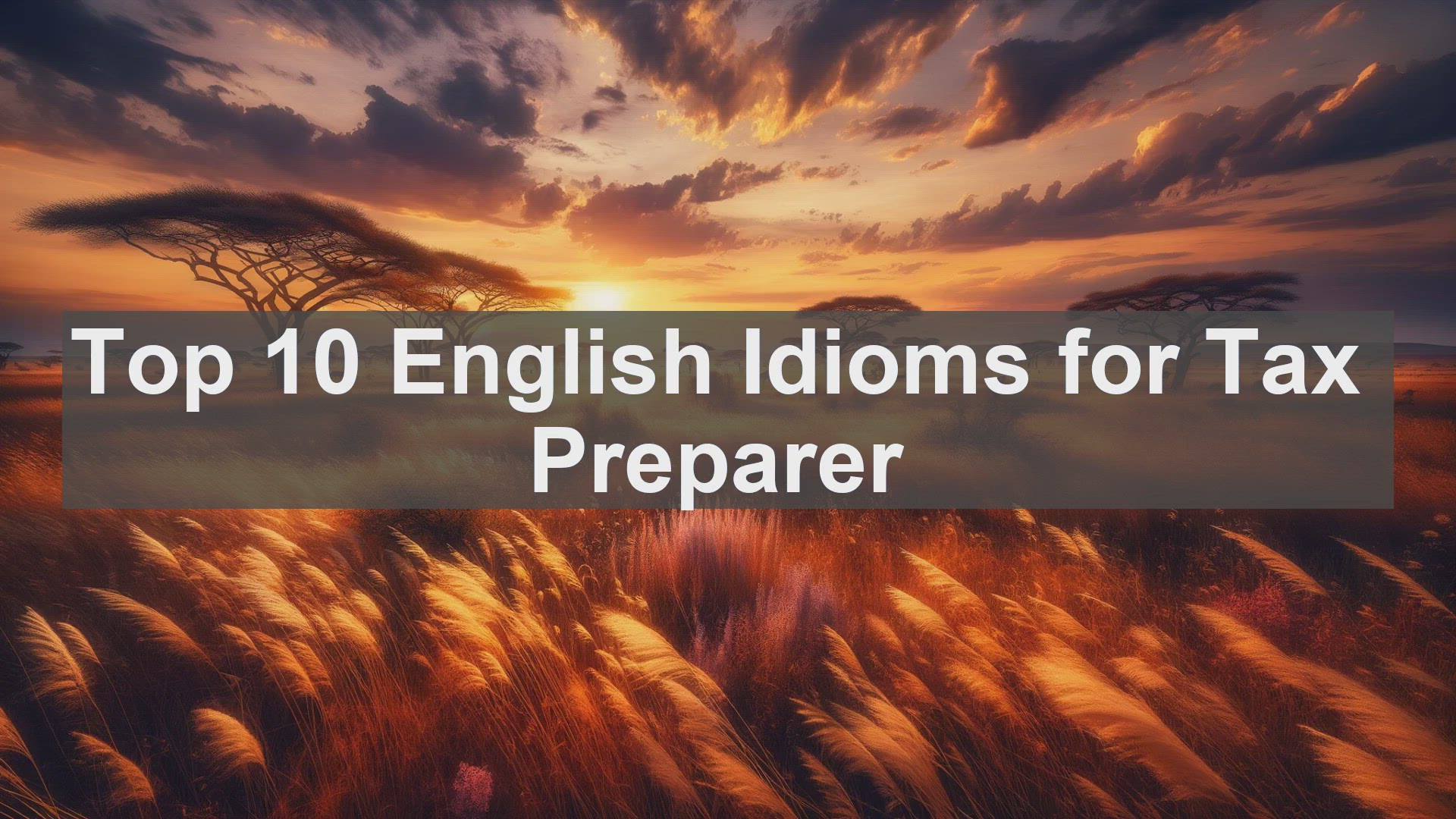 'Video thumbnail for Top 10 English Idioms for Tax Preparer'