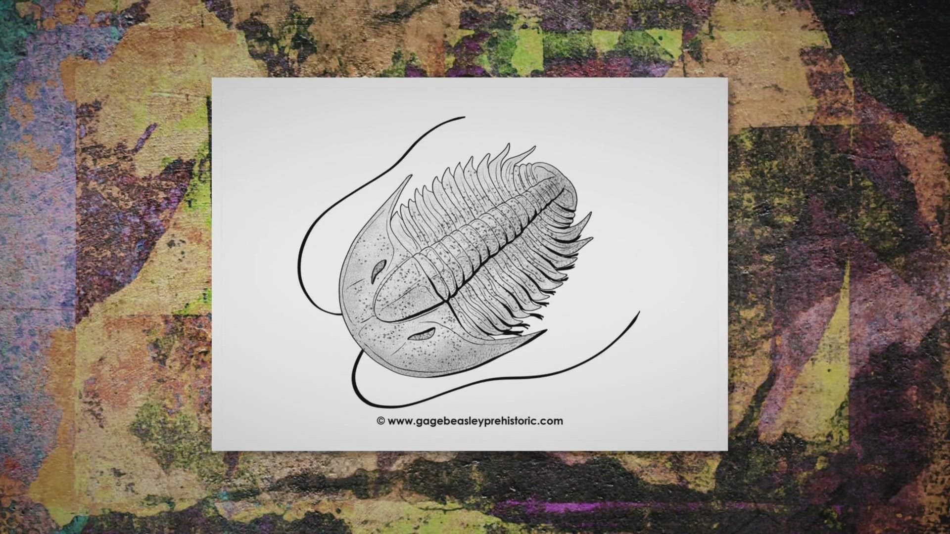 Video thumbnail for An Ultimate Guide to Trilobites: The Three-Lobed Arthropods