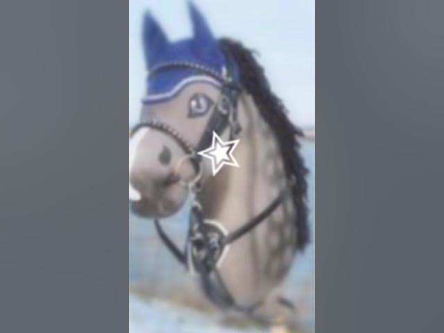Video thumbnail for Hobby horse edit  #hobbyhorse #horse #stickhorse #pony #ridinghorses