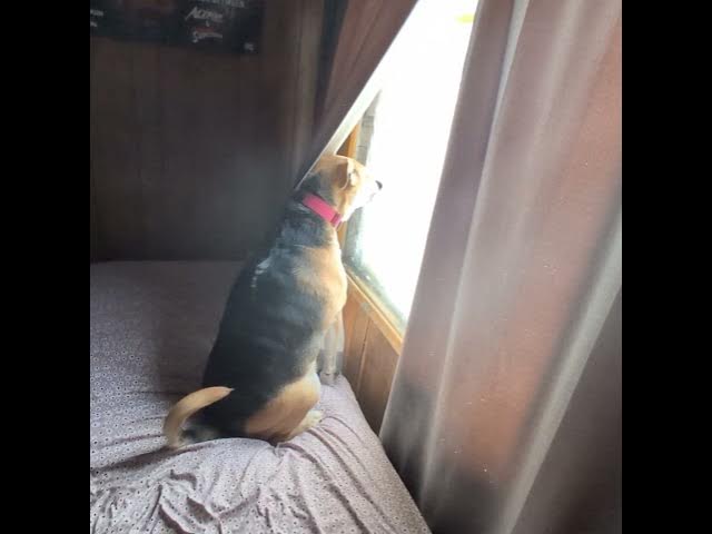 Video thumbnail for just random