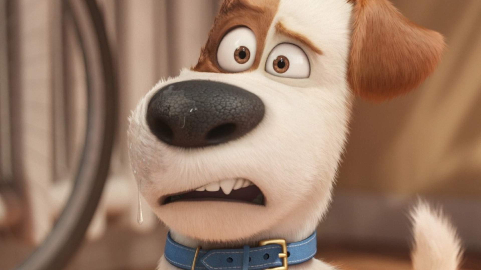 Video thumbnail for Things Only Adults Notice In The Secret Life Of Pets