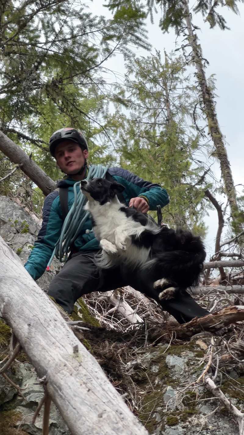 Video thumbnail for Climber Carefully Carries Dog Down Steep Mountain Gully