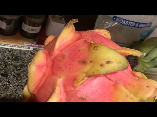 Video thumbnail for Take a look around your yard!