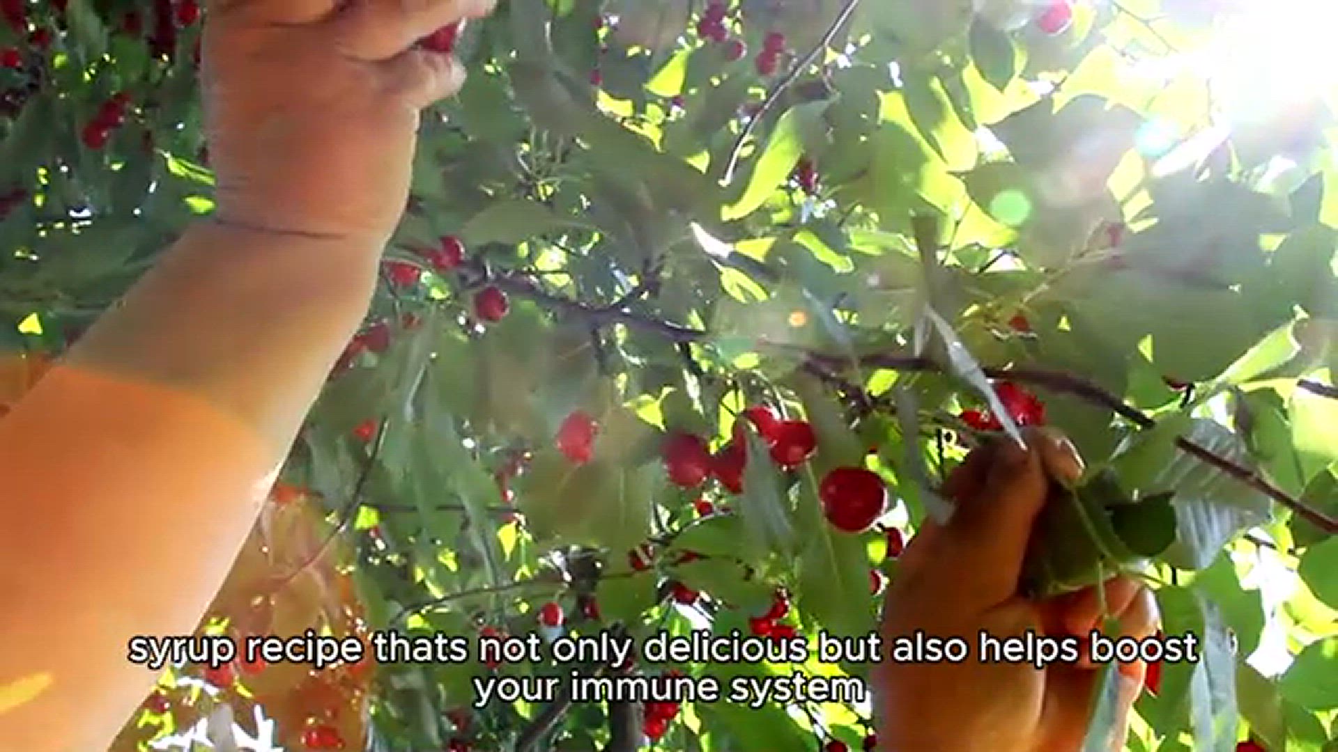 'Video thumbnail for Elderberry syrup recipe'