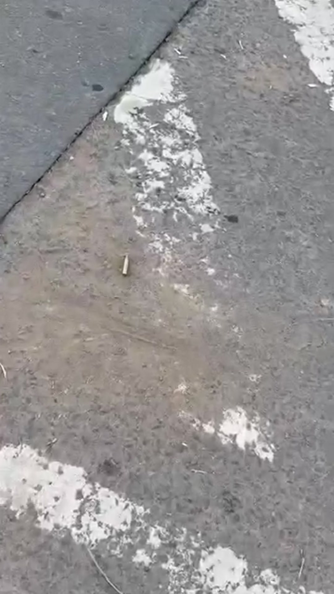 Video thumbnail for Driver Killed in Suspected Targeted Shooting in Oakford, KZN