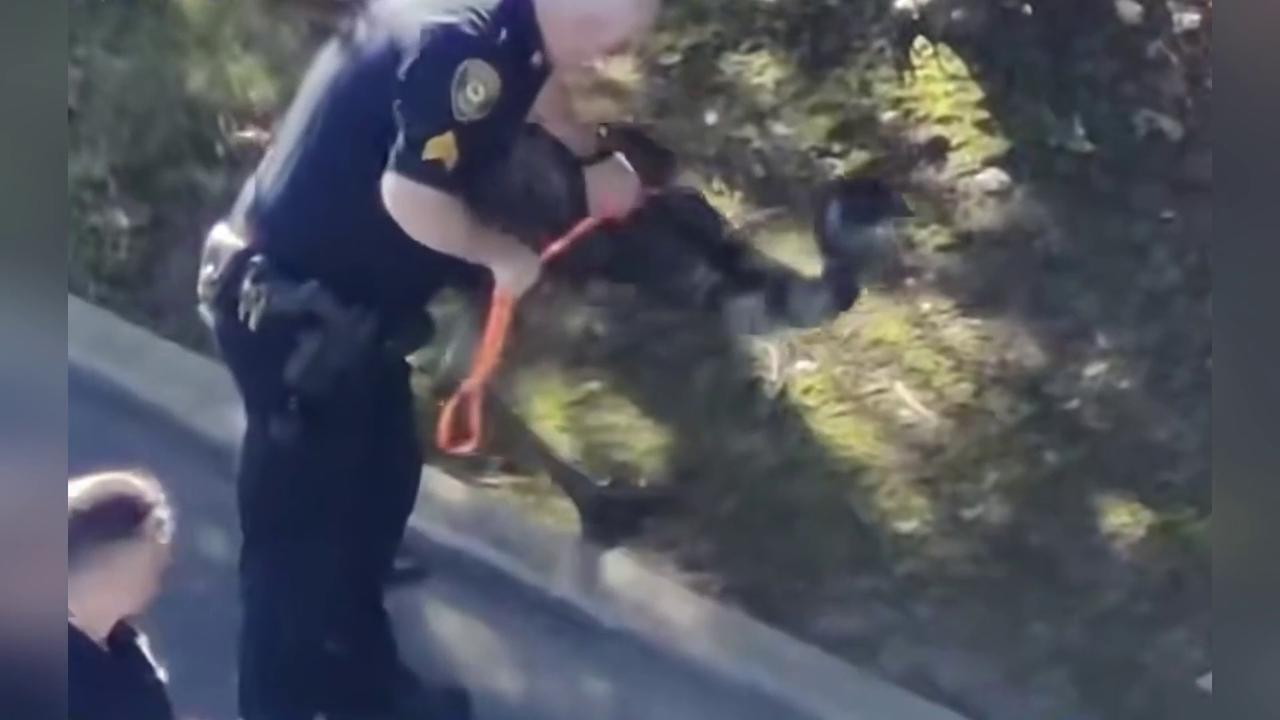 Video thumbnail for US: Emu Escapes New York Petting Zoo And Leads Police On Wild Chase.